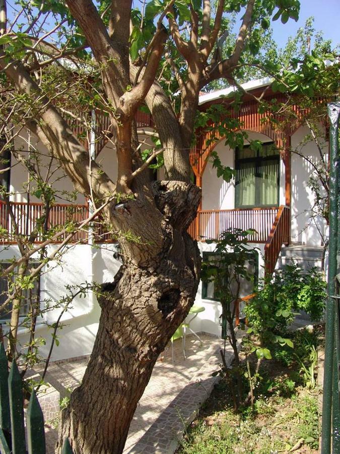 Orhan Kutbayin Evi アダラー エクステリア 写真